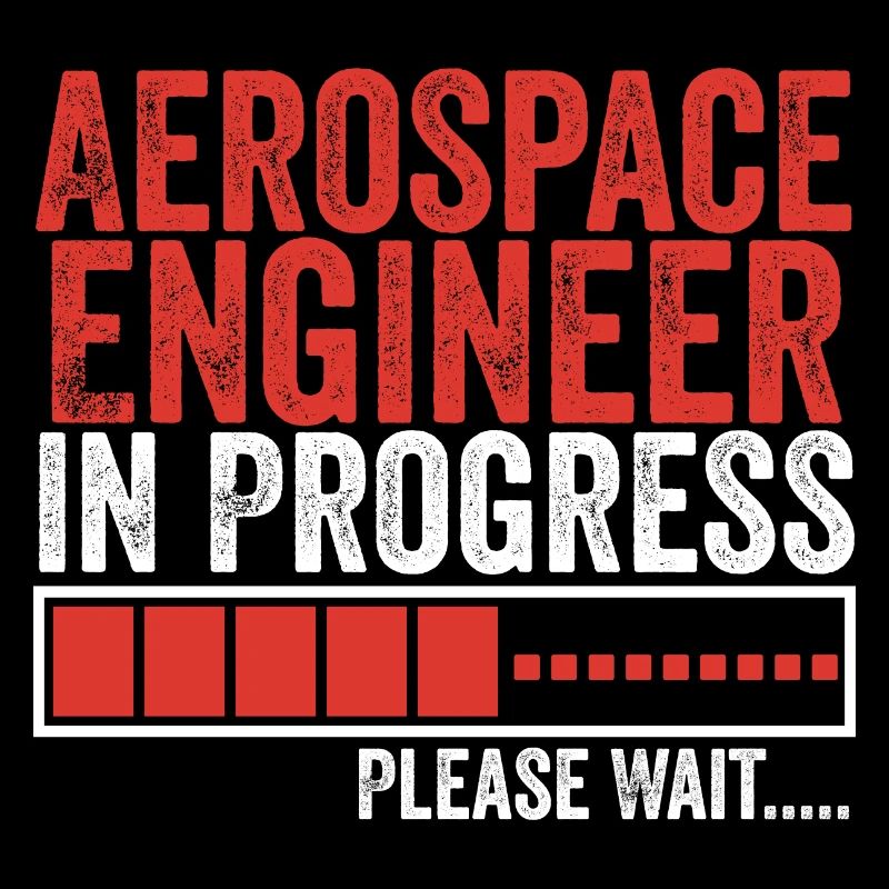 Aerospace Engineer in Progress Astronautical