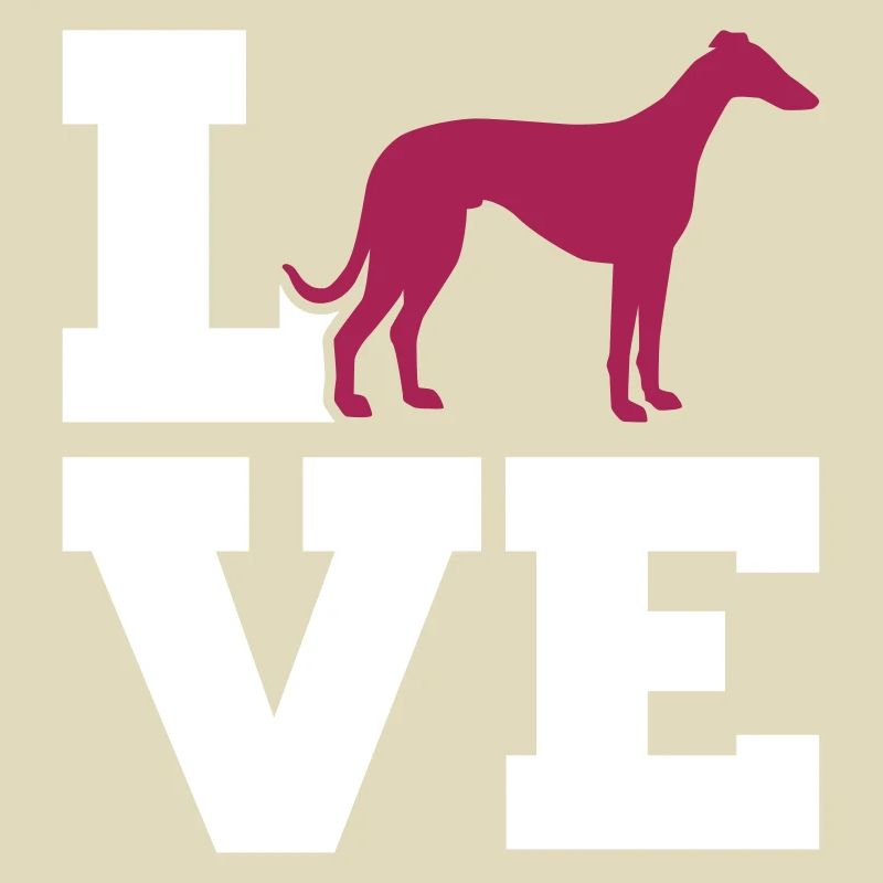 Whippet