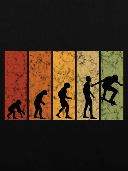 Skateboarder Skateboard Skater Skate Evolution