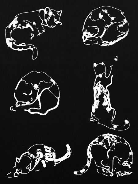 Das Leben einer Katze