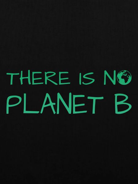 there is no planet b