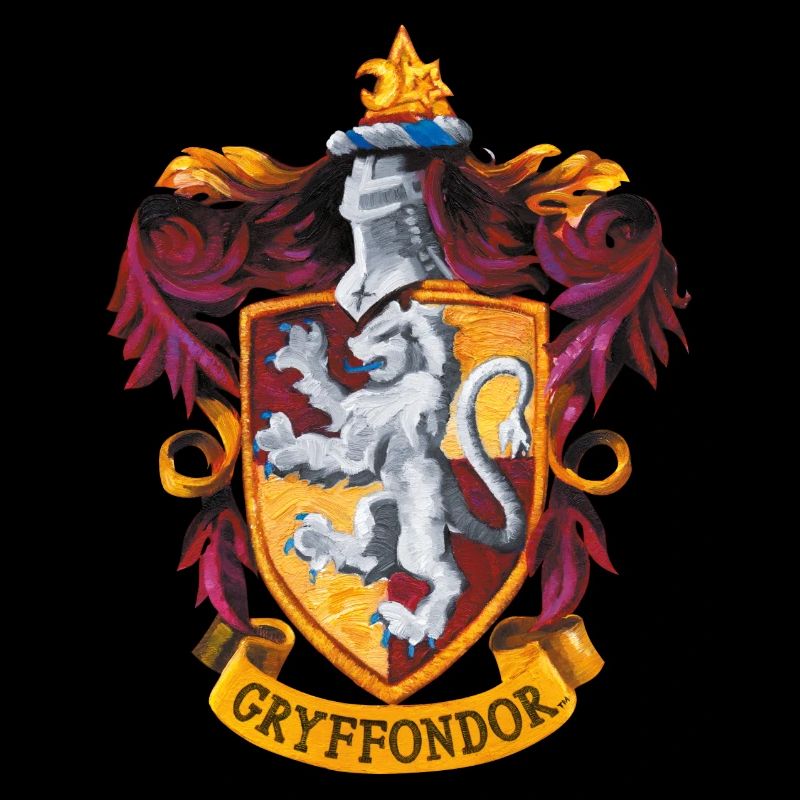 Harry Potter Emblem Gryffindor Painting