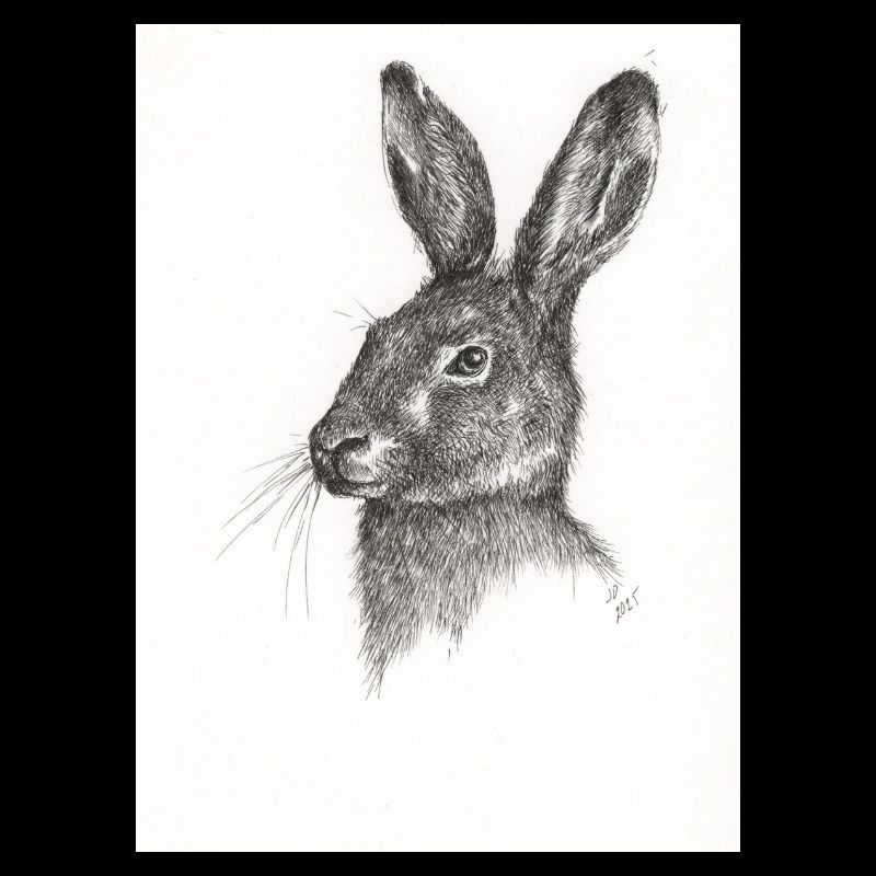 Pas juste un autre lapin