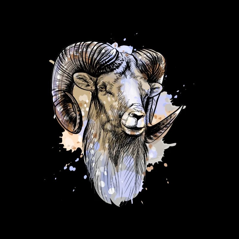 Bock