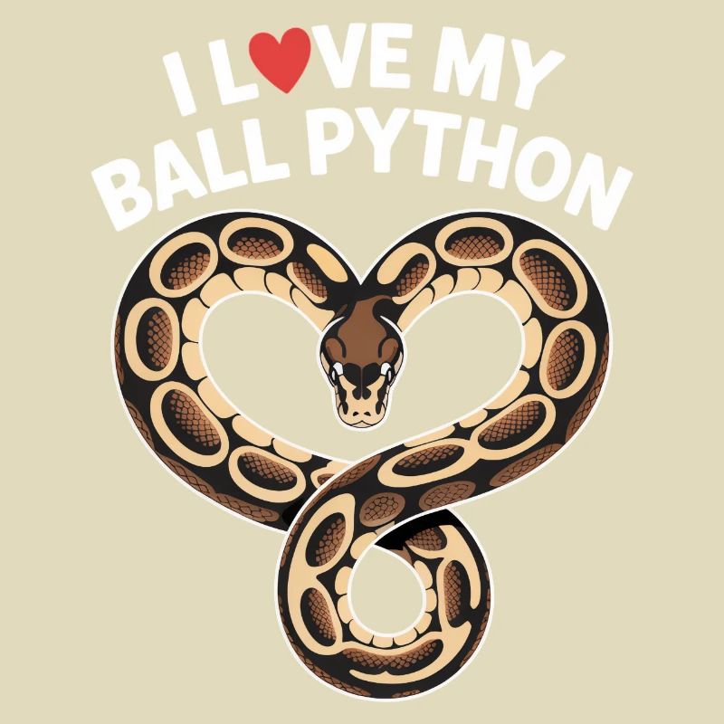 J’adore mon python royal ! Roi python