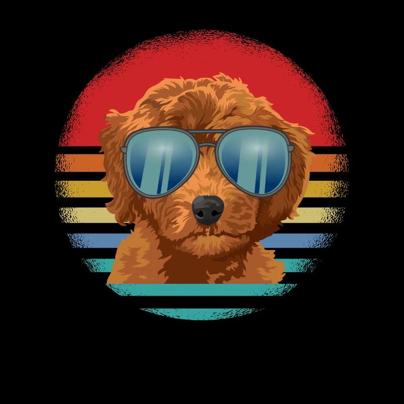 goldendoodle Hund
