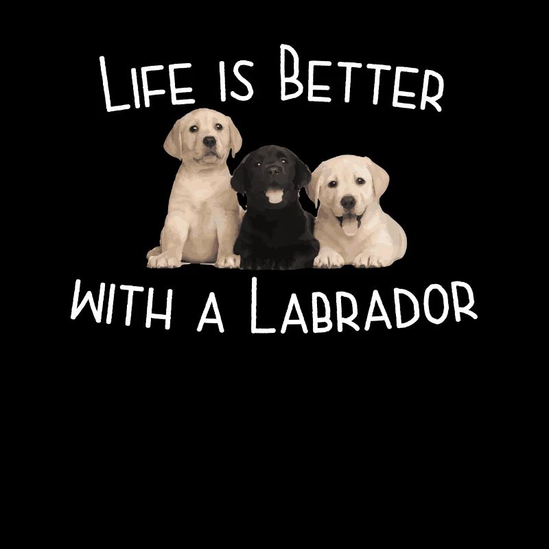 Das Leben eines Labradorhundes ist mit einem Labrador besser