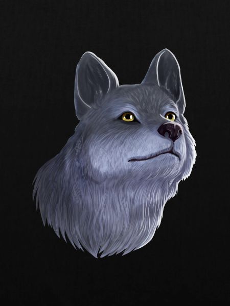 Wolf Portrait
