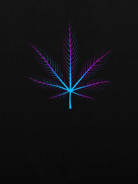 Xray Cannabisblatt