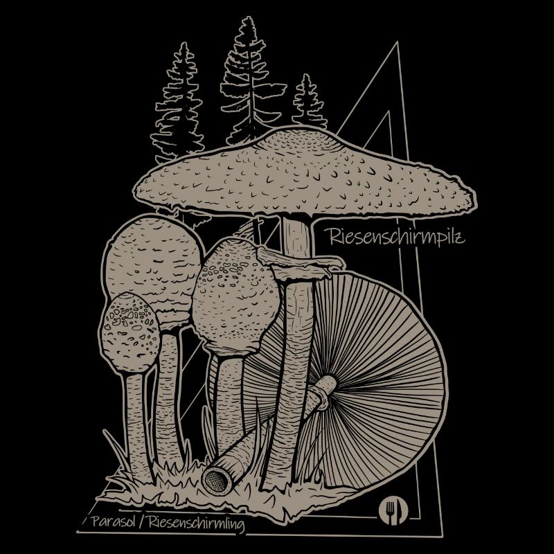 Champignons Parasol Parapluie Champignon Parapluie Géant Champignon