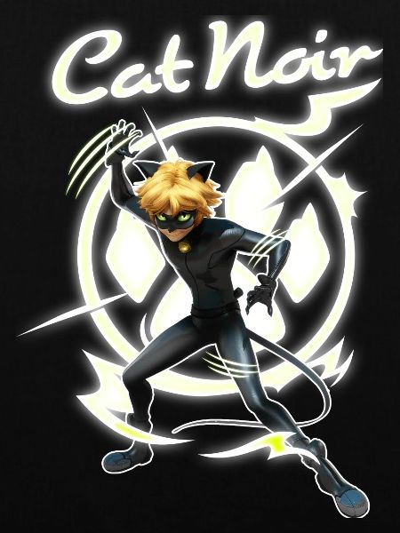 Miraculous Cat Noir Adrien Superheld