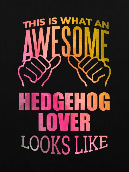 Hedgehog Hedgehog Hedgehog