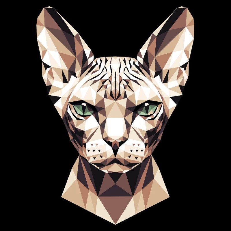 Sphynx Chat Sphynx Chat Chat Canadien Sphinx mignon