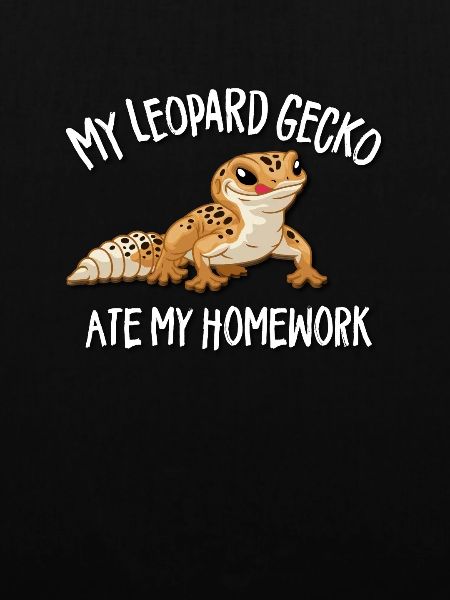 Leopardgecko