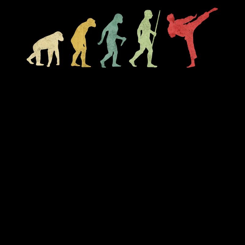 Karate High Kick Evolution