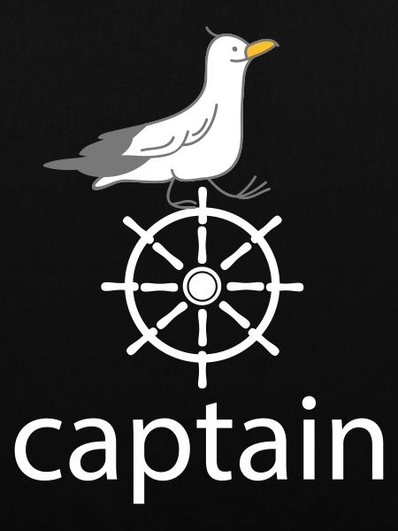 Captain and seagull
