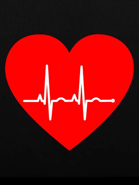Herz Ekg
