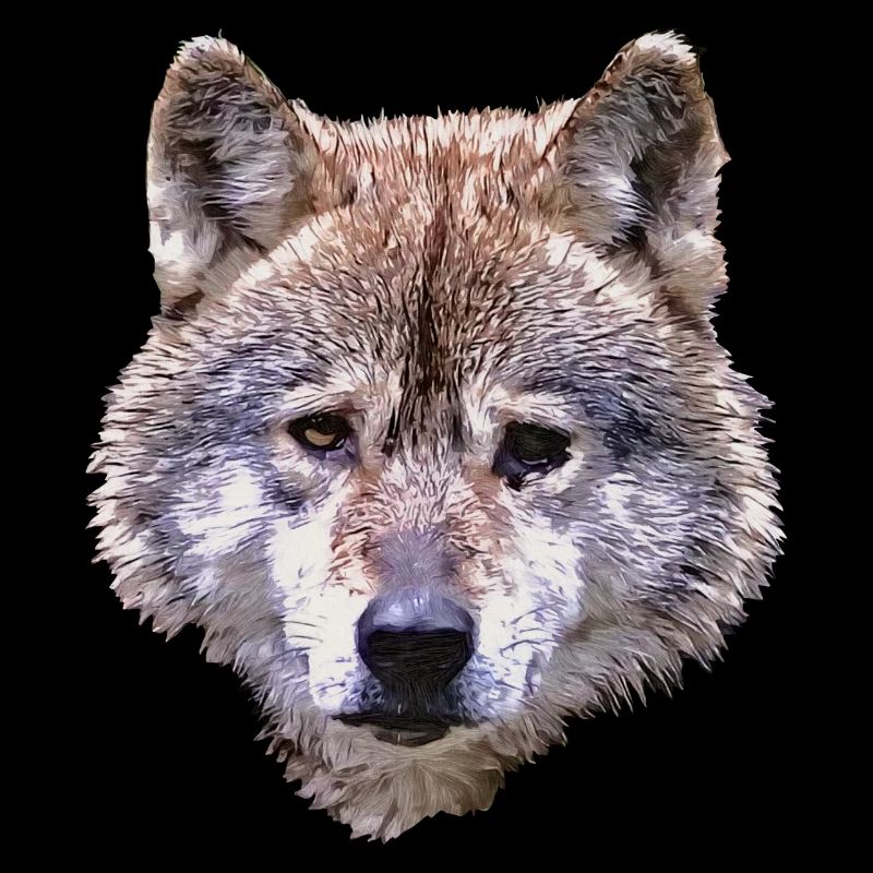 BERIX WOLF Kopf