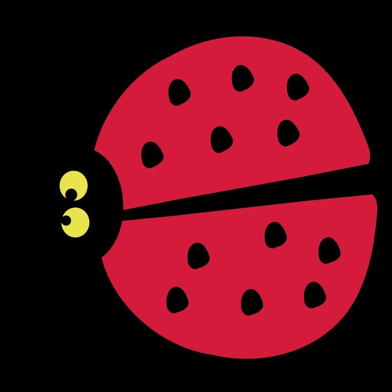 ladybug insects