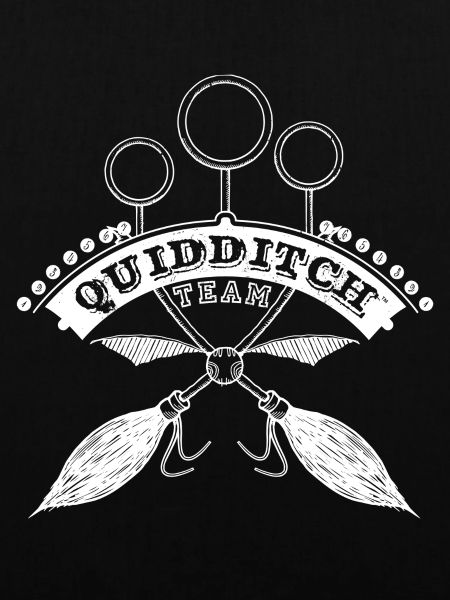 Harry Potter Quidditch Team