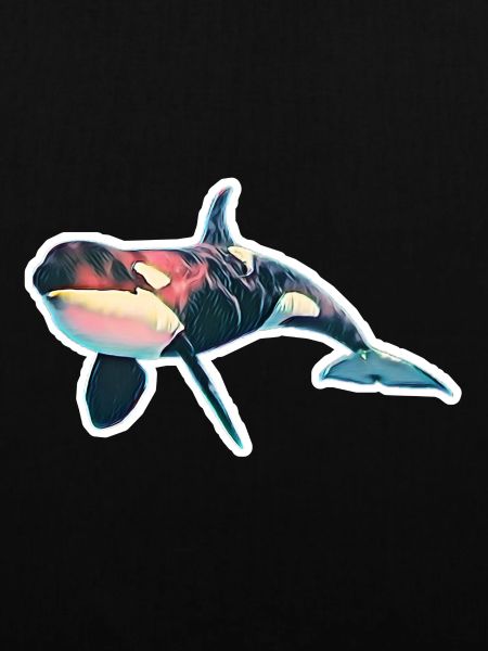 Orca