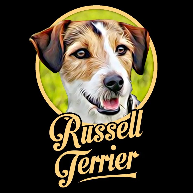 Jack Russell Terrier