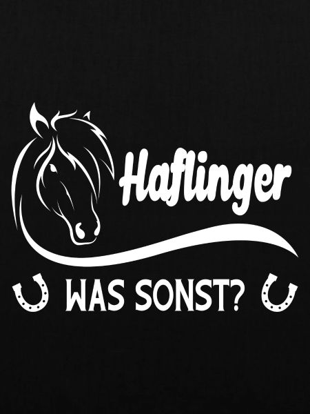 Haflinger Was Sonst Pferd Reiter