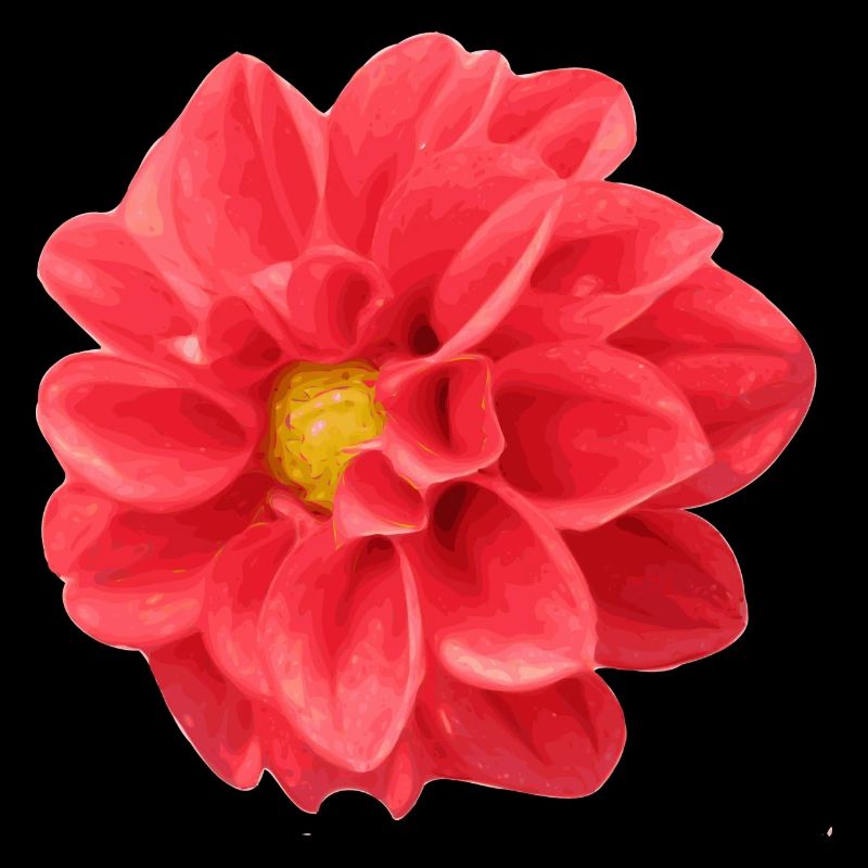 fleur
