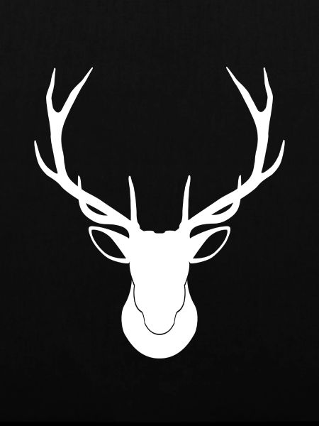 Hirsch - Hirschgeweih