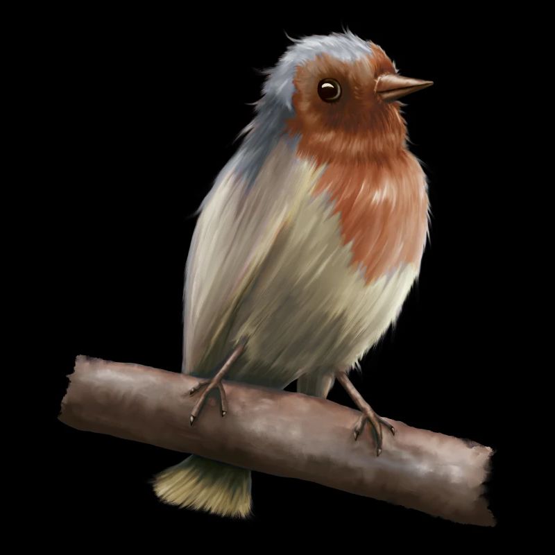 Rotkehlchen