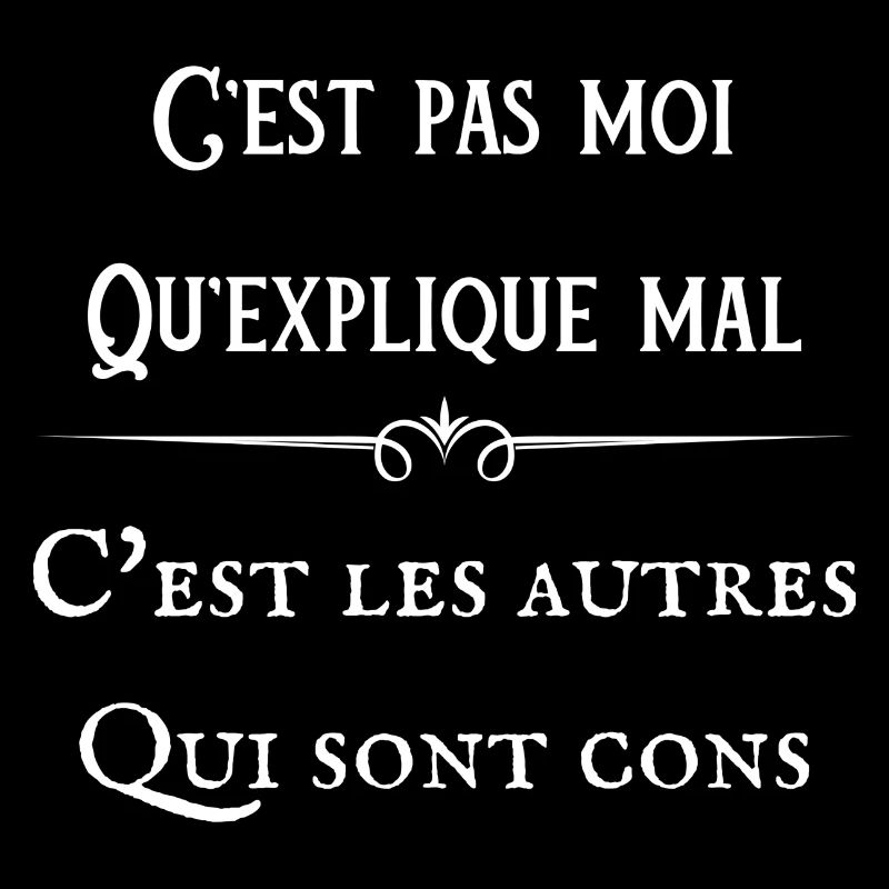 C 'est pas moi qu'explique mal