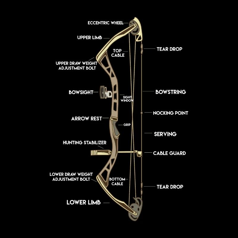 Anatomie d'un arc | Composé de tir à l'arc Arrow