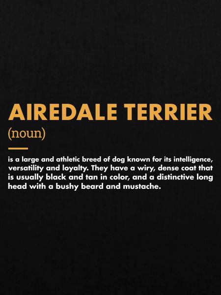 Airedale Terrier Definition