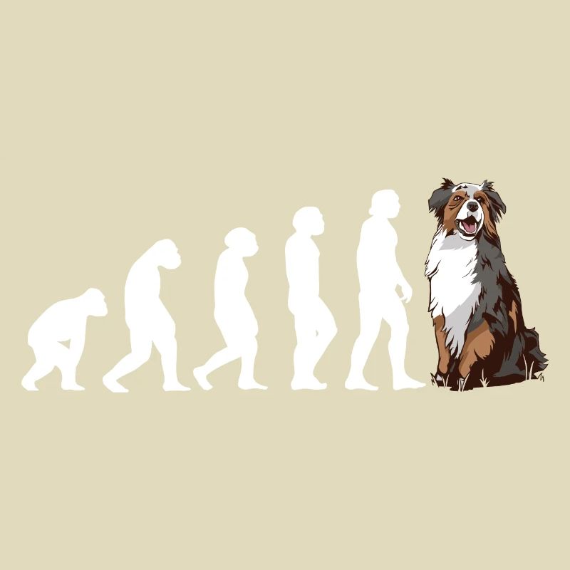Évolution du chien Aussie