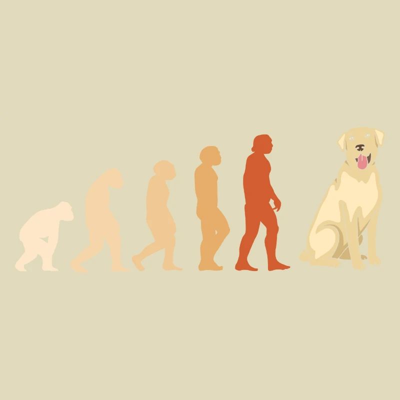 Evolution Labrador Retriever