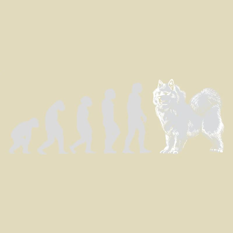 Évolution Samoyède