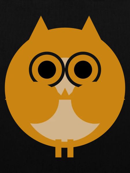 Geometric Owl Design