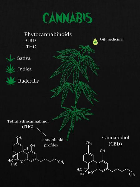 Cannabis Chemical Formula