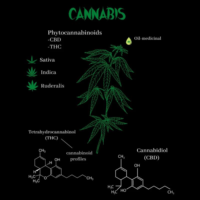 Cannabis Chemical Formula