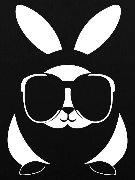 Sjove kanin solbriller cool solglas kanin