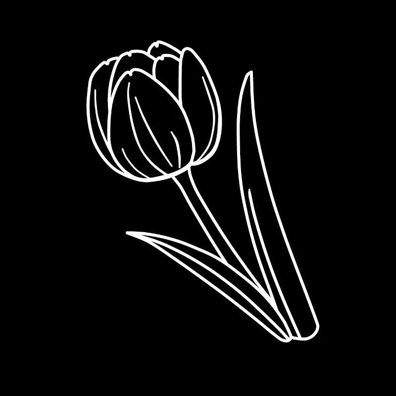 Tulipe blanche (tasses, étuis, sacs, etc.)