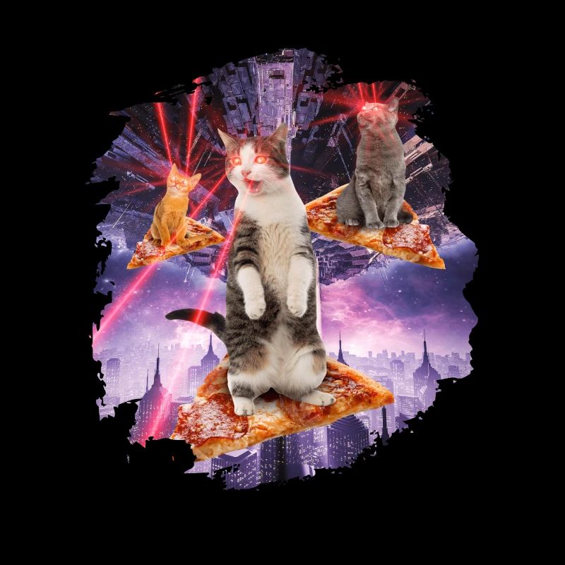 Espace de chat de chats de pizza de chats de laser