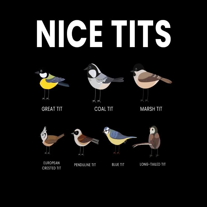 Nice Tits Bird Bird Watching Tit