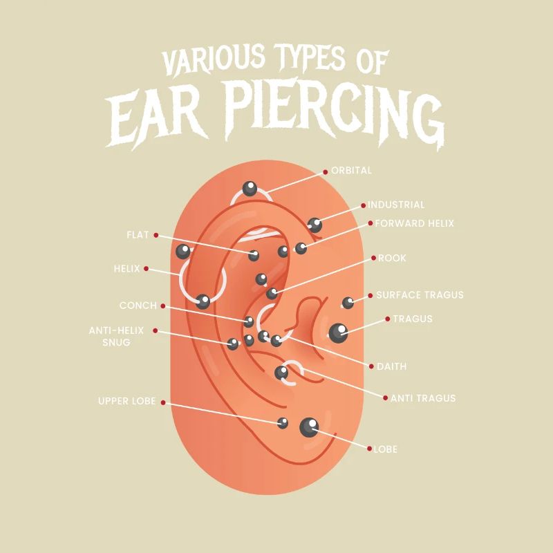 Différents types de boucles d'oreilles