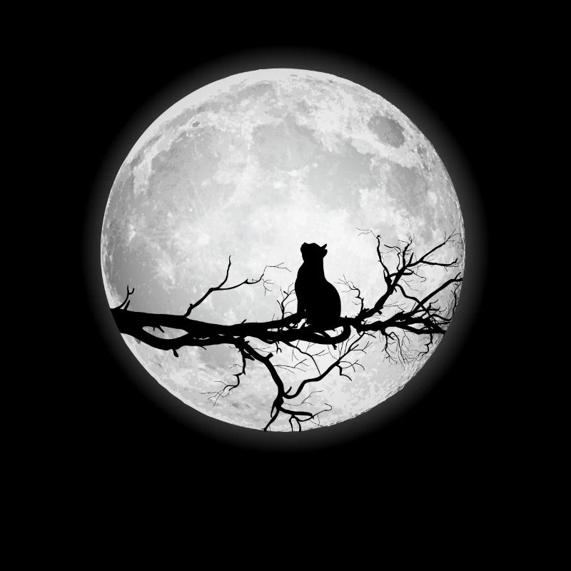 Moon Full Moon Cat Space