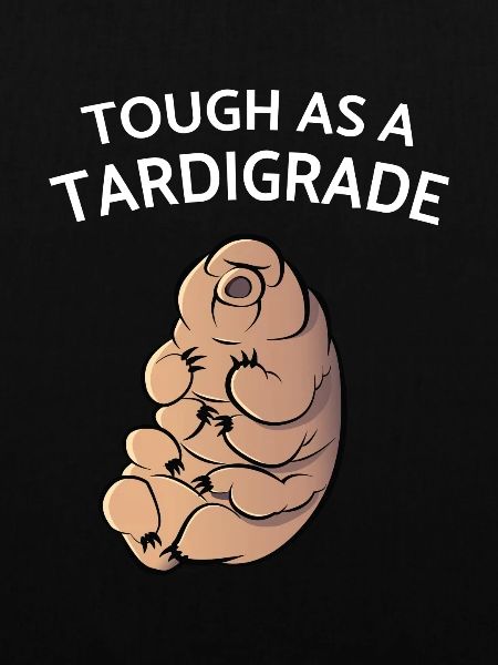 Touch As A Tardigrade Bärtierchen