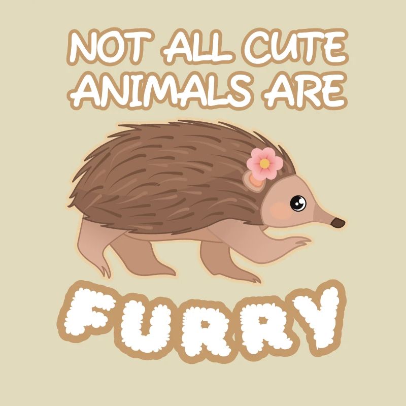 Échidné Animaux Mignons À Fourrure Schnabeligel