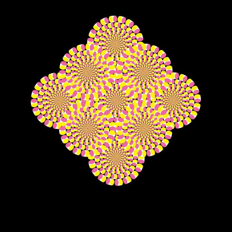 Perception Illusion d’optique Illusion