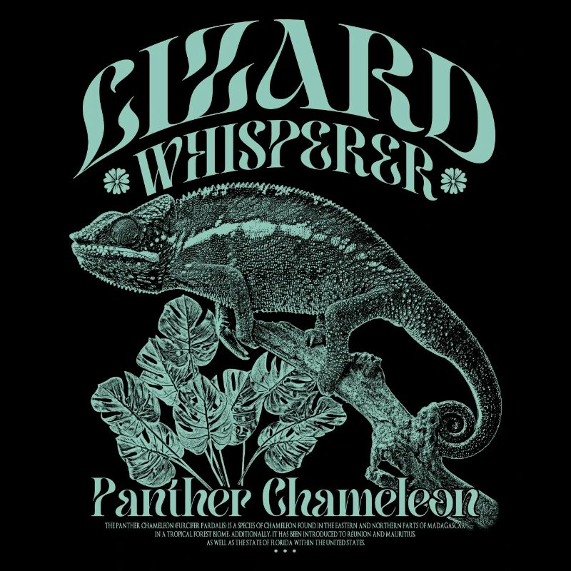 Panther Chameleon Chameleon Lizard Whisperer