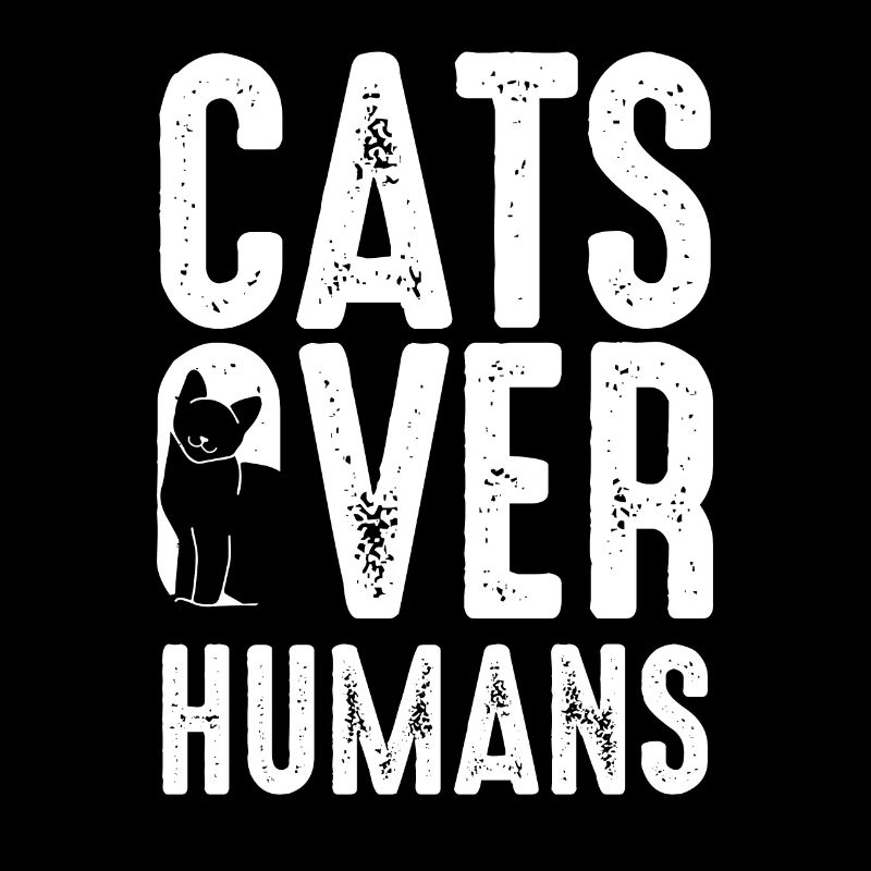 Katzen Immer Menschen